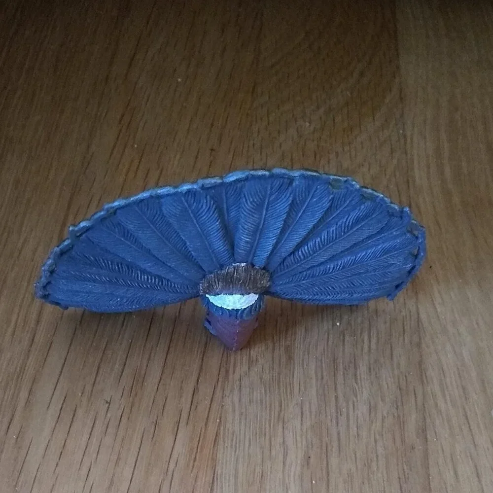 N/A peacock bird
